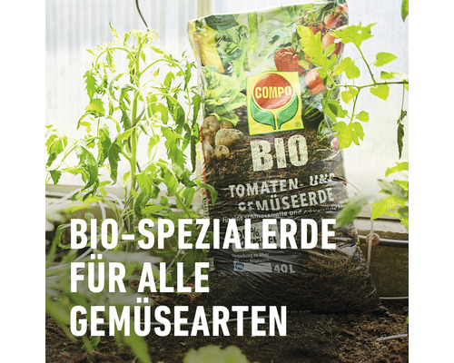 Compo Bio Spezialerde für alle Gemüsearten in einem 40 Liter Sack zwischen Gemüsepflanzen