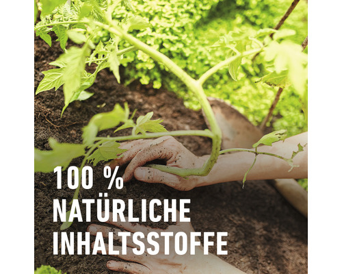 Pflanze wird mit Händen in Erde gesetzt. Text: 100 Prozent natürliche Inhaltsstoffe.