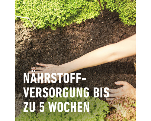 Nährstoffversorgung bis zu 5 Wochen im Gartenboden mit Person