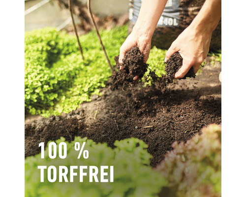 Eine Person hält torffreie Erde in den Händen.