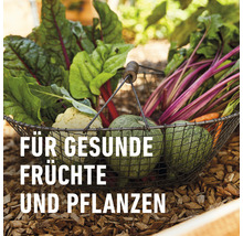 Korb mit Gemüse und der Aufschrift Für gesunde Früchte und Pflanzen.