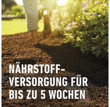Nährstoffversorgung für bis zu 5 Wochen im Gartenboden.