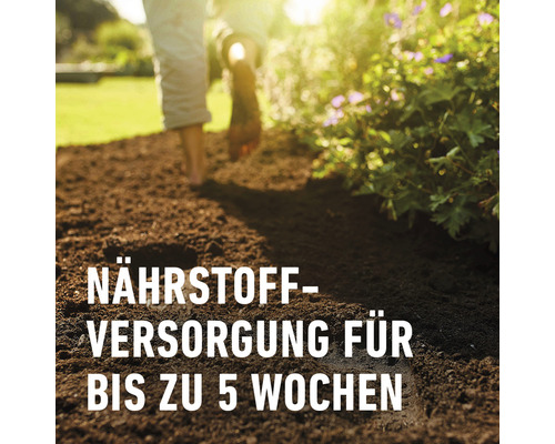 Nährstoffversorgung für bis zu 5 Wochen im Gartenboden.
