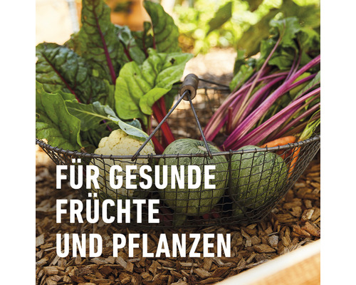 Gemüse und Pflanzen in einem Drahtkorb