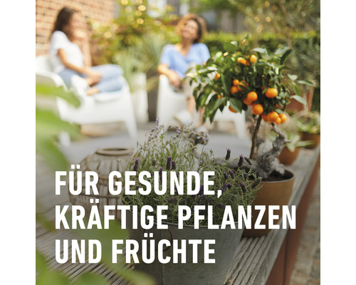 Szene mit Pflanzen in Töpfen und dem Text ''Für gesunde, kräftige Pflanzen und Früchte''.