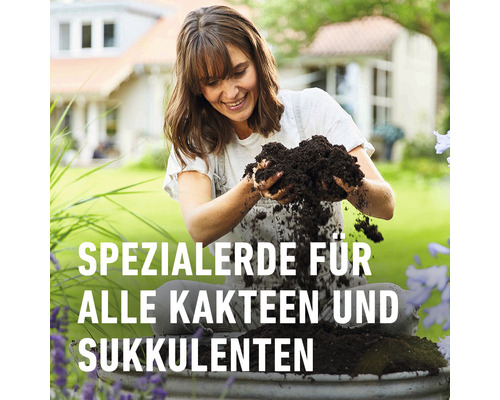 Frau hält Kakteen- und Sukkulentenerde in den Händen