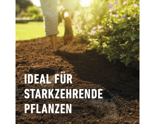 Boden vorbereitet für starkzehrende Pflanzen im Garten.