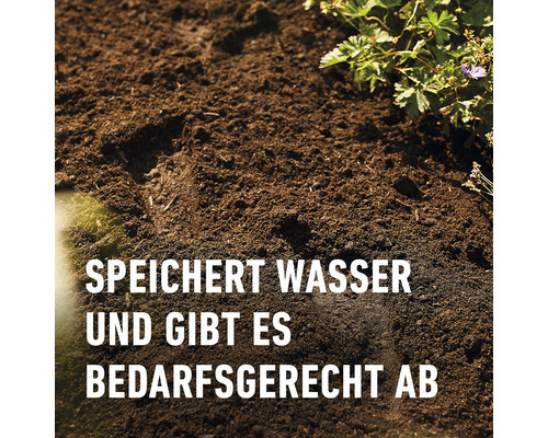 Erde speichert Wasser und gibt es bedarfsgerecht ab.