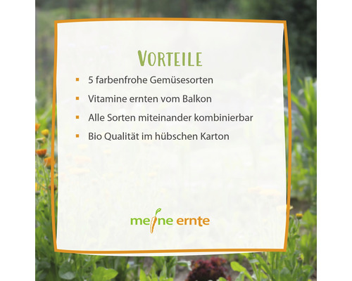 Vorteile: Fünf farbenfrohe Gemüsesorten, Vitamine vom Balkon ernten, alle Sorten kombinierbar, Bio Qualität im Karton, Meine Ernte Logo.