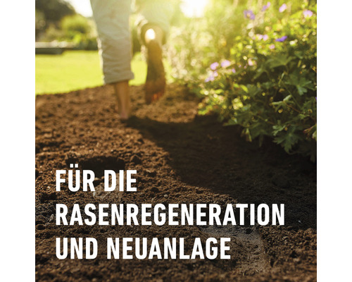 Für die Rasenregeneration und Neuanlage