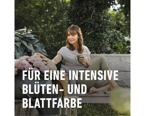 Frau sitzt auf Bank mit Getränk, Gießkanne und Hortensien, Text: Für eine intensive Blüten- und Blattfarbe