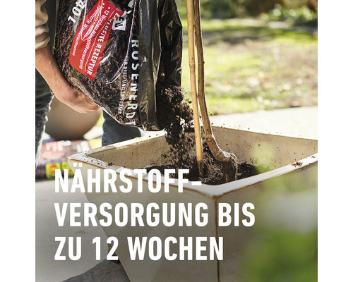 Ein Mann befüllt einen Topf mit Rosenerde für Beet- und Topfrosen.