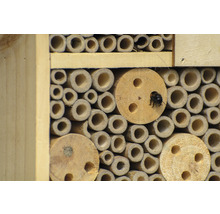 Insektenhotel mit Bambusröhren und Holzeinsätzen