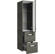 Hochschrank mit Tür, Glasböden und zwei Schubladen
