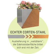 Blumenkasten aus Cortenstahl mit Bepflanzung