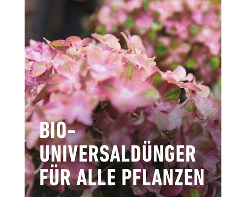 Bio Universaldünger für alle Pflanzen