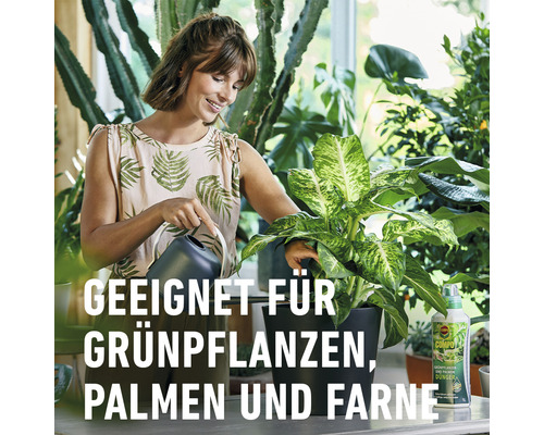 Frau gießt Zimmerpflanze mit Gießkanne, im Hintergrund weitere Pflanzen