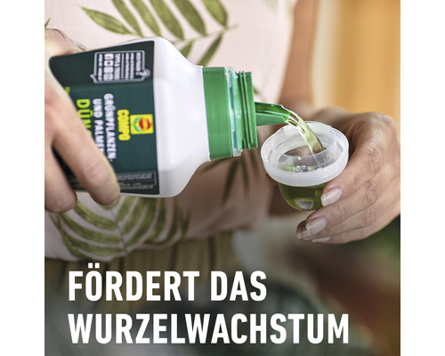 Eine Person gießt Flüssigdünger aus einer Flasche in einen Messbecher zur Förderung des Wurzelwachstums.