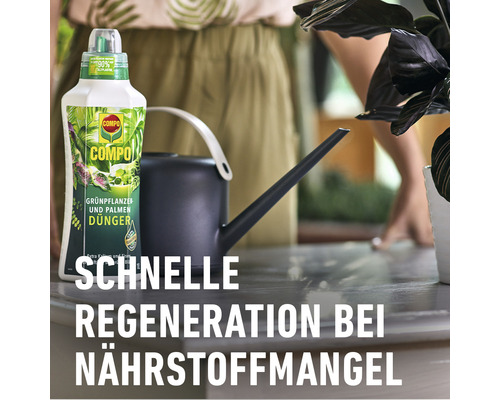 COMPO Grünpflanzen- und Palmendünger neben einer Gießkanne