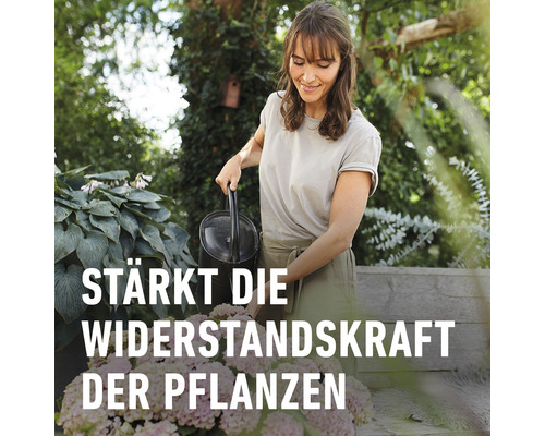 Eine Frau gießt im Garten Blumen mit einer Gießkanne. Die Bildunterschrift lautet: Stärkt die Widerstandskraft der Pflanzen.