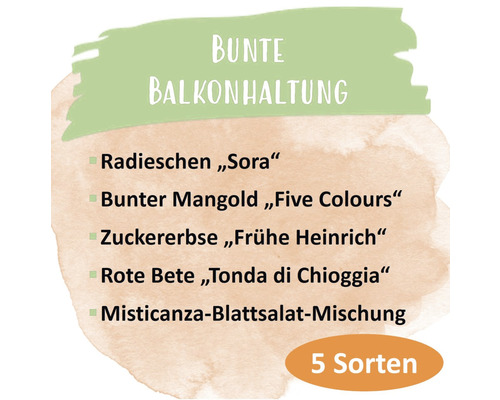 Bunte Balkonbepflanzung mit Radieschen, Mangold, Zuckererbse, Rote Bete und Blattsalat Mischung, 5 Sorten