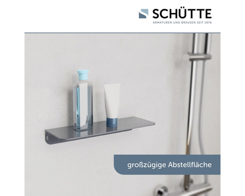 Duschregal mit Pflegeprodukten im Badezimmer