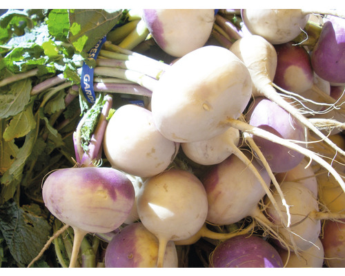 Rüben mit Blättern