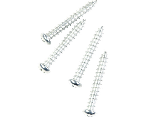 Vier Linsenkopfschrauben aus Metall