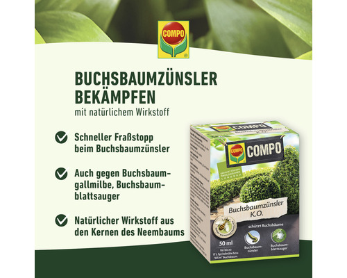 Compo Buchsbaumzünsler Bekämpfungsmittel Packung