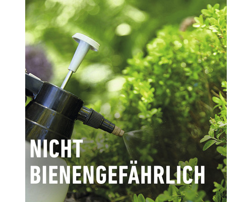 Symbol: Nicht bienengefährlich