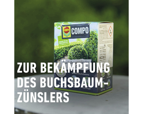 Compo Buchsbaumzünsler Bekämpfungsmittel