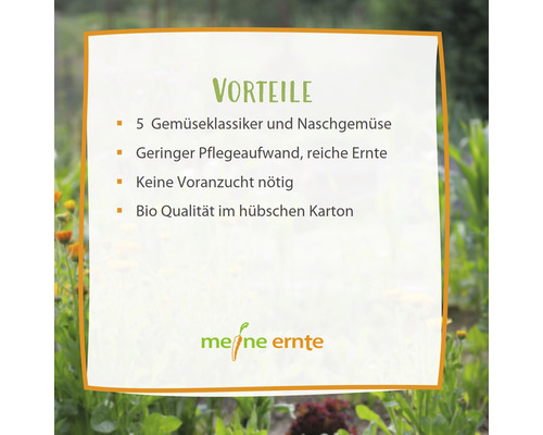 Vorteile: fünf Gemüsesorten, geringer Pflegeaufwand, keine Voranzucht nötig, Bio Qualität im Karton