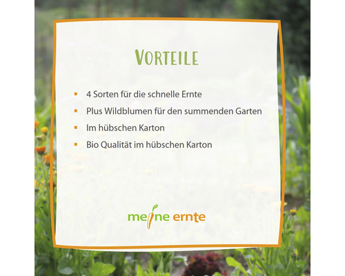 Vorteile: Vier Sorten für die schnelle Ernte, plus Wildblumen für den summenden Garten, im hübschen Karton, Bio Qualität im hübschen Karton