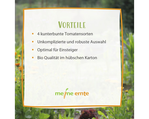 Vorteile: Vier farbenfrohe Tomatensorten, unkomplizierte und robuste Auswahl, optimal für Einsteiger, Bio Qualität im Karton, Meine Ernte Logo
