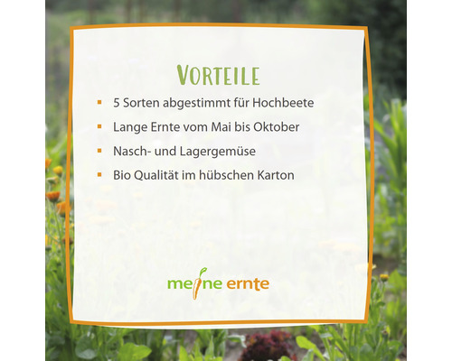 Informationen zu den Vorteilen der Gemüsesorten von Meine Ernte, abgestimmt für Hochbeete, lange Ernte vom Mai bis Oktober, Nasch- und Lagergemüse, Bio Qualität im Karton.