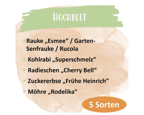 Hochbeet Bepflanzung mit Rucola, Kohlrabi, Radieschen, Zuckererbse und Möhre