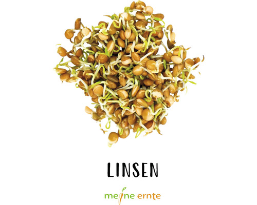 Linsensprossen mit Meine Ernte Logo