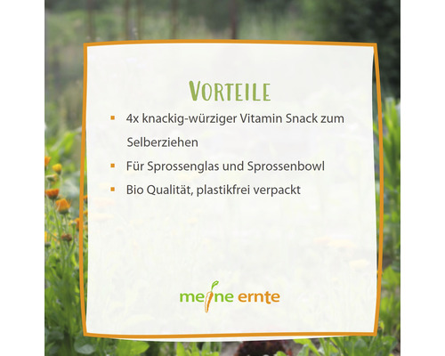 "Vorteile: 4x knackig-würziger Vitamin Snack zum Selberziehen, Für Sprossenglas und Sprossenbowl, Bio Qualität, plastikfrei verpackt