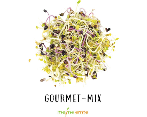 Gourmet-Mix Sprossen von Meine Ernte