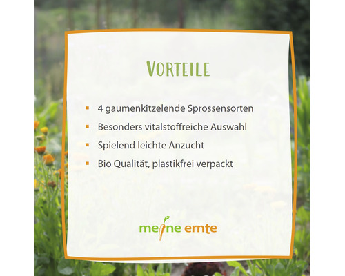 Vorteile: Vier Sorten Sprossen, vitalstoffreiche Auswahl, einfache Aufzucht, Bio Qualität, plastikfreie Verpackung, Meine Ernte Logo
