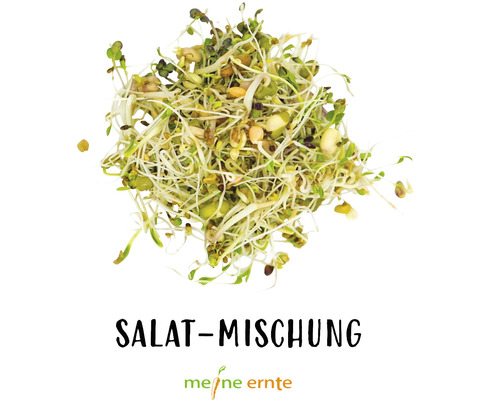 Salatmischung mit Sprossen und Saaten