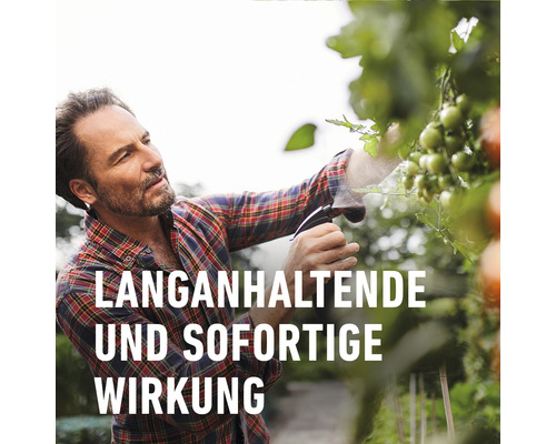 Ein Mann sprüht Tomatenpflanzen mit Pflanzenschutzmittel für eine lang anhaltende und sofortige Wirkung.