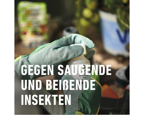 Insektizid gegen saugende und beißende Insekten
