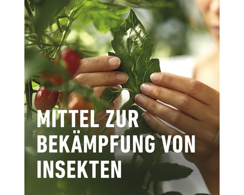 Mittel zur Bekämpfung von Insekten an einer Pflanze