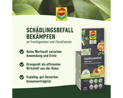 Compo Insektizid zur Schädlingsbekämpfung an Obst und Zierpflanzen