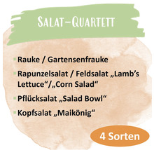 Bio Salat Saatgutpaket meine ernte Salatquartett mit 4 Sorten, Rauke, Feldsalat, Pflücksalat und Kopfsalat, samenfestes Saatgut