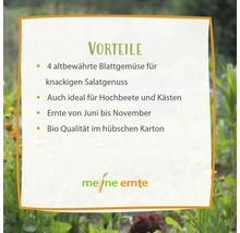 Vorteile: Vier altbewährte Blattgemüse für knackigen Salatgenuss, ideal für Hochbeete und Kästen, Ernte von Juni bis November, Bio Qualität im Karton. Meine Ernte Logo.