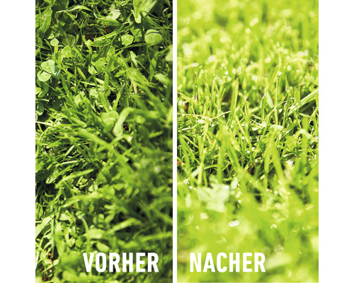 Vorher-nachher-Vergleich von Rasen mit Unkraut und behandeltem Rasen