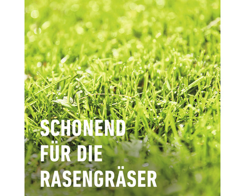 Schonend für die Rasengräser