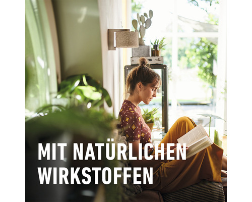 Frau liest ein Buch in einem hellen Raum mit Pflanzen und natürlichem Licht.
